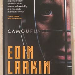 Eoin Larkin - Camouflage - My Story - Kilkenny GAA Hurling