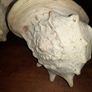 Pair Of Vintage Conch Shells Image 10