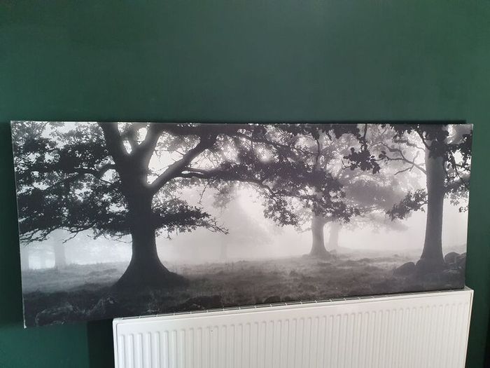 Ikea canvas