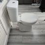 toilet Image 3