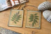 Folkster a pair of pressed leaves in frames