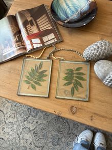 Folkster a pair of pressed leaves in frames