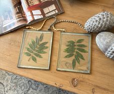 Folkster a pair of pressed leaves in frames