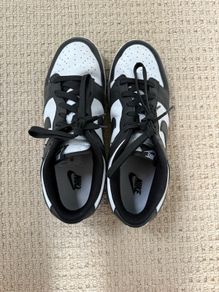 Nike Dunk Lows