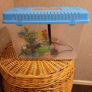 fish tank Image 3