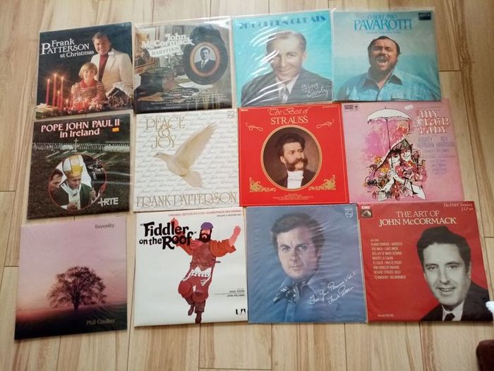 Vintage/Classic Record Collection (some Irish artists) of 24 with brown carrycase