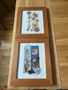 Pressed Flower Picture