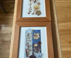 Pressed Flower Picture