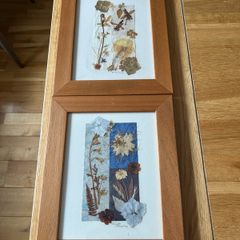 Pressed Flower Picture