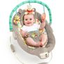 Winnie The Pooh Vibrating Musical Bouncer Image 6
