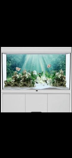 Fish Tank Background 100cm x 50cm