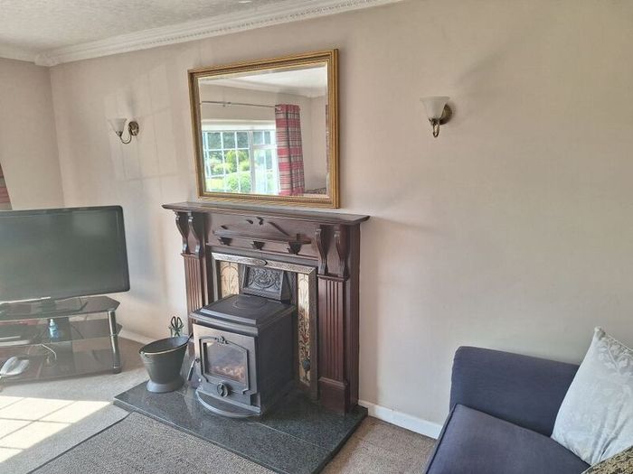 Olymberyl solid fuel stove