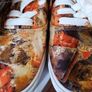 Lee Cooper canvas ladies girls shoes 4 37 orange new in box Image 4