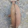 pierce wexford fire fan Image 4