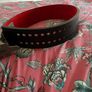 SBD weightlifting belt Image 3