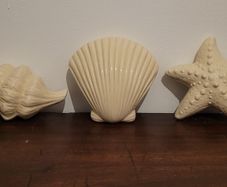 Vintage glazed ceramic shells x 3