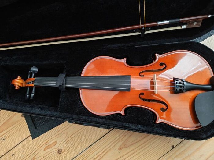 violin