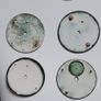 Selection of 22 Antique Pocket Dials Image 7