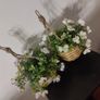 flowers baskets Image 3