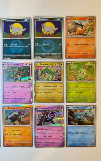 Pokemon TCG Ascended Heroes Holo Cards