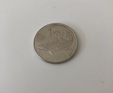 One Icelandic krona 2011