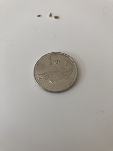 One Icelandic krona 2011