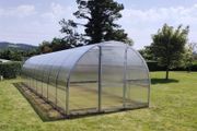 Greenhouse Strong Premium