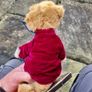 compare the market meerkat Alexksandr Image 8