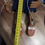 Pinocchio and Giuseppe or swap for dewalt Image 4