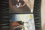 2 x Mars Volta 10"s