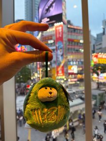 Starbucks Japan Shibuya Crossing Exclusive Bearista Daruma Plush - Green Lucky Charm New with Tags