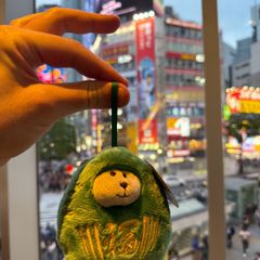Starbucks Japan Shibuya Crossing Exclusive Bearista Daruma Plush - Green Lucky Charm New with Tags