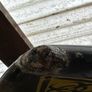 Fish SurfBoard (Rare) Image 8