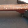 Epiphone Thunderbird bass + hardcase Image 10