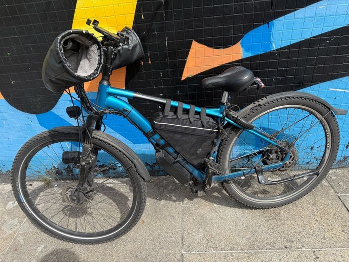 Electric bike 29' - 750w