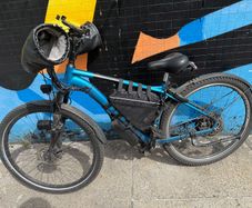 Electric bike 29' - 750w
