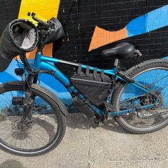 Electric bike 29' - 750w