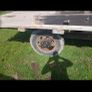 Flat bed trailer Image 3