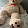 Teddy Image 2