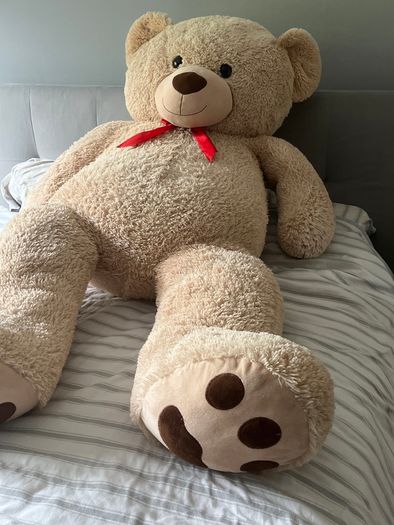 Teddy
