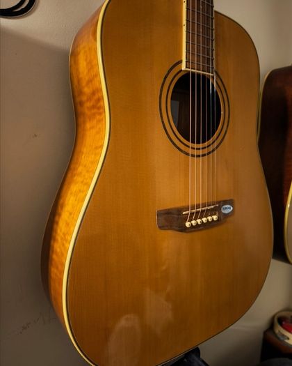 Acoustic Guitar Solid Spruce Top SX Custom Guitars DG190/NA