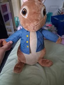 toy