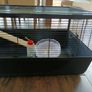 Little friends Grosvenor XL small animal cage Image 4
