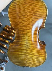 viola