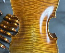 viola