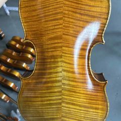 viola
