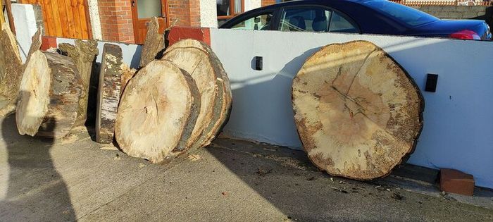 Premium Spalted Beech Wood Slabs 5 Years Air Dried