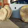 Premium Spalted Beech Wood Slabs 5 Years Air Dried Image 4