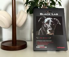Audioquest Black Label - Subwoofer cable 3m / 10ft - NEW