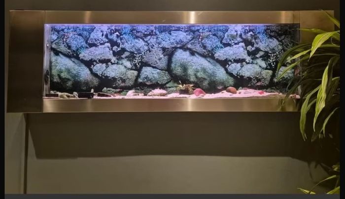 Shallow Fish Tank